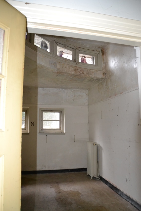The place, the space 2012-13
