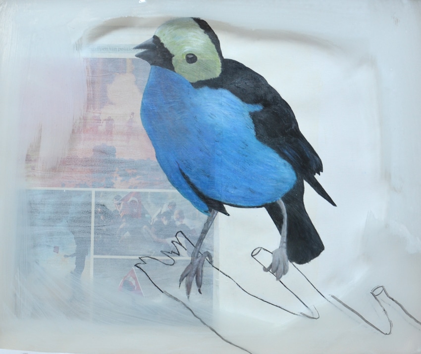 Van wie is het paradijs? 2013
