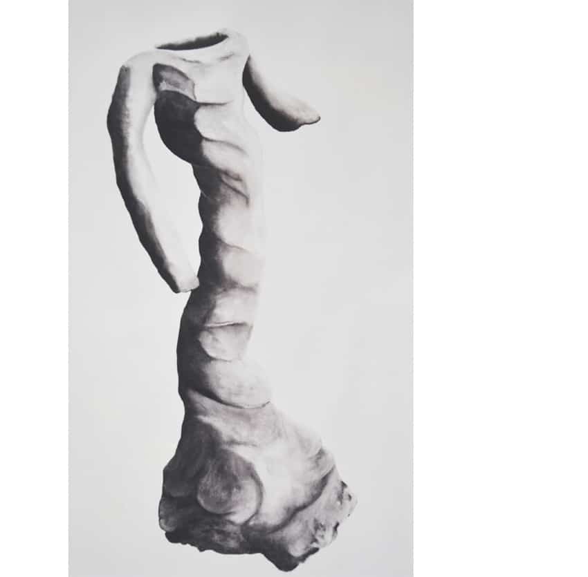 z.t. (model), 2003