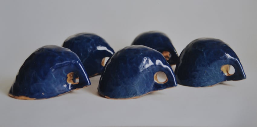 haviks-kopjes, 1999